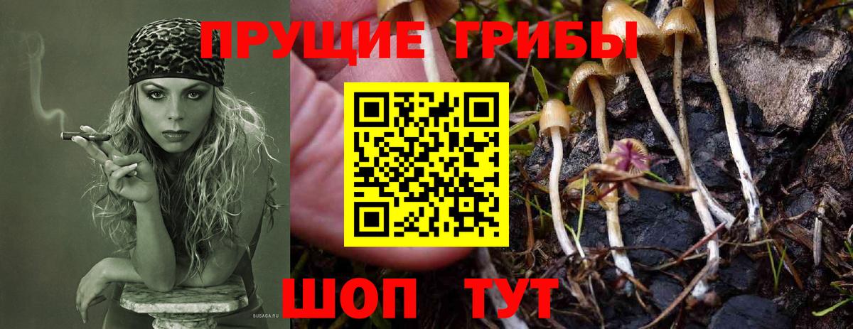 Галлюциногенные грибы мухоморы  Галлюциногенные грибы мухоморы  Вход с VPN  Кингисепп 